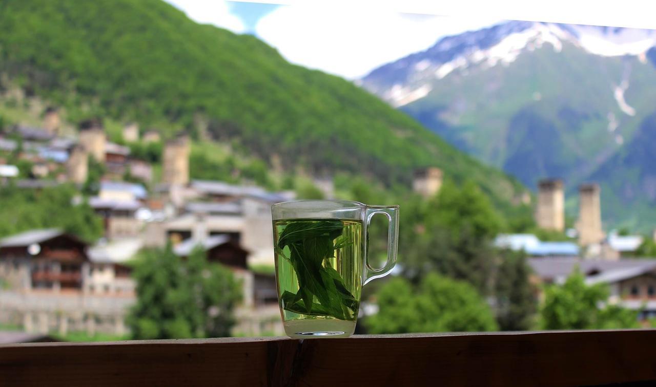 Travel Inn House Mestia • Მოგზაურის Სახლი Extérieur photo