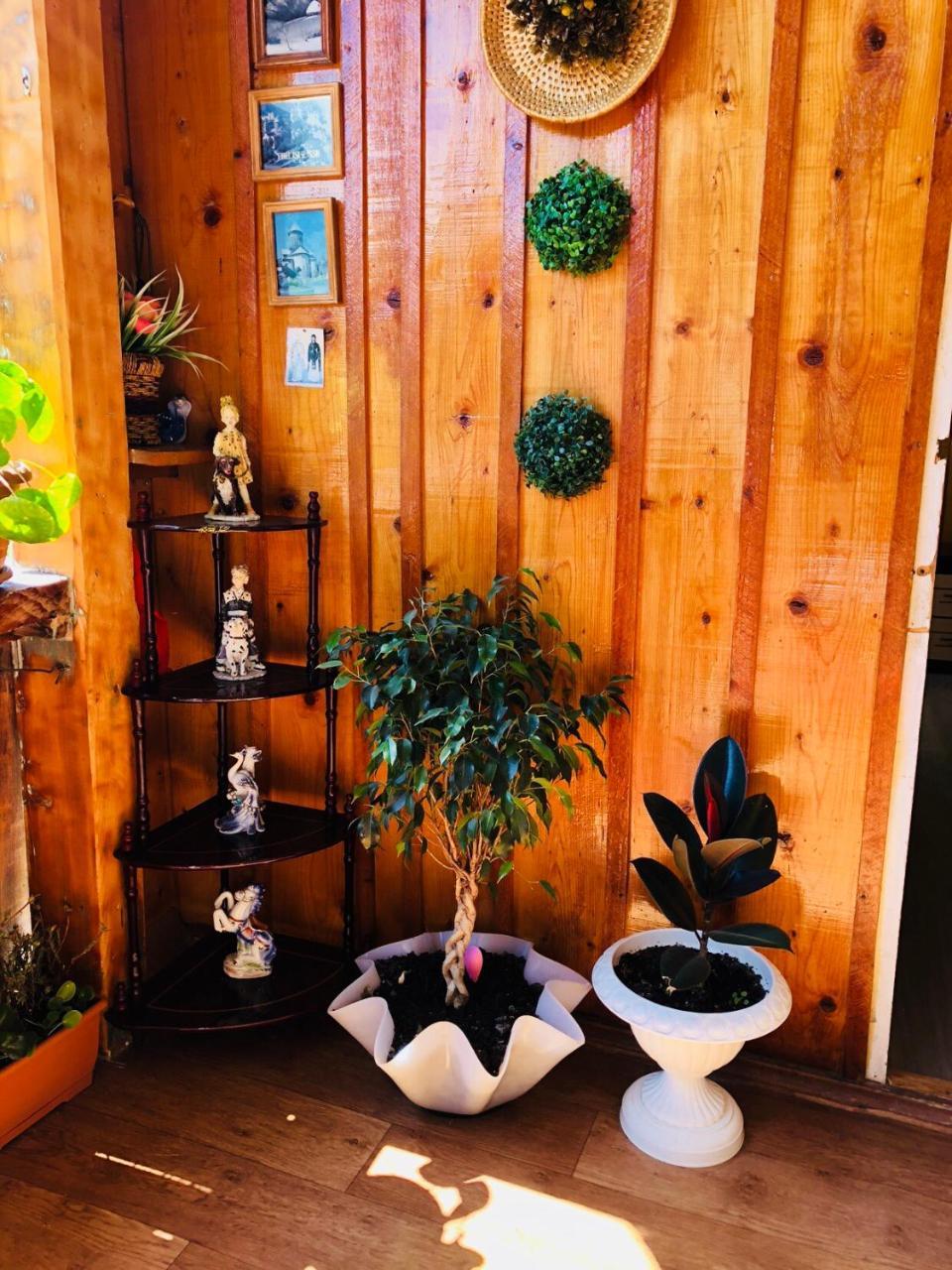 Travel Inn House Mestia • Მოგზაურის Სახლი Extérieur photo
